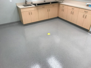 Veterinary clinic floor Westfield Indiana